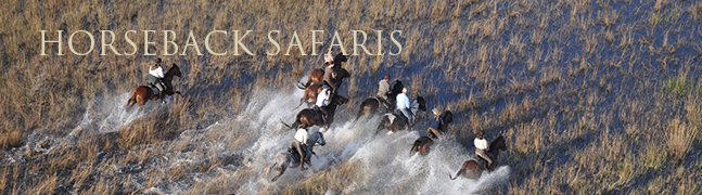 Horseback Safaris - Robert Mark Safaris - Luxury African Safaris Horseback Safaris - Robert Mark Safaris - Luxury African Safaris