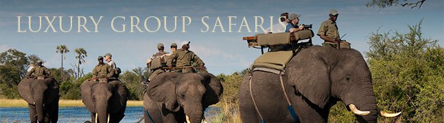 Luxury Group Safaris - Robert Mark Safaris - Luxury African Safaris Luxury Group Safaris - Robert Mark Safaris - Luxury African Safaris