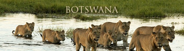 BOTSWANA - Robert Mark Safaris - Luxury African Safaris BOTSWANA - Robert Mark Safaris - Luxury African Safaris
