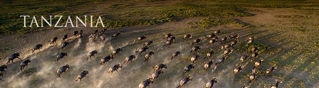 TANZANIA - Robert Mark Safaris - Luxury African Safaris TANZANIA - Robert Mark Safaris - Luxury African Safaris
