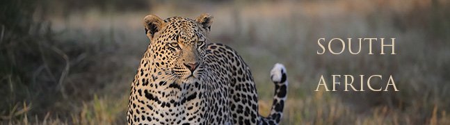 SOUTH AFRICA - Robert Mark Safaris - Luxury African Safaris SOUTH AFRICA - Robert Mark Safaris - Luxury African Safaris