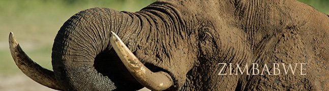 ZIMBABWE - Robert Mark Safaris - Luxury African Safaris ZIMBABWE - Robert Mark Safaris - Luxury African Safaris