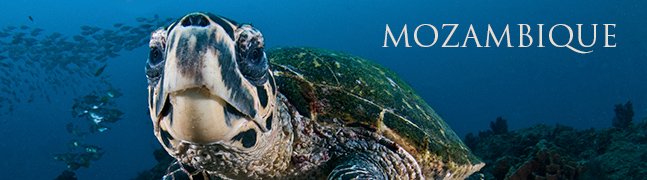 MOZAMBIQUE - Robert Mark Safaris - Luxury African Safaris MOZAMBIQUE - Robert Mark Safaris - Luxury African Safaris
