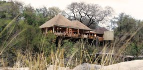 Londolozi - Robert Mark Safaris - Luxury African Safaris