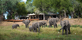 Ruckomechi Camp - Robert Mark Safaris - Luxury African Safaris