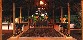Royal Malewane - Robert Mark Safaris - Luxury African Safaris
