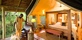 Bateleur Camp - Robert Mark Safaris - Luxury African Safaris