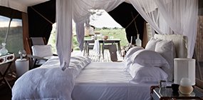 Singita Mara River Tented Camp - Robert Mark Safaris - Luxury African Safaris