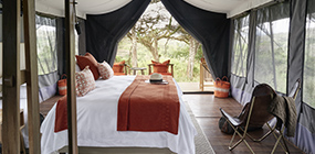 Ngorongoro Crater Camp - Robert Mark Safaris - Luxury African Safaris