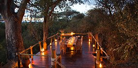 Oliver's Camp - Robert Mark Safaris - Luxury African Safaris