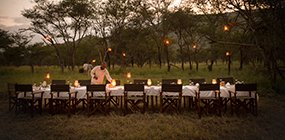 Dunia Camp - Robert Mark Safaris - Luxury African Safaris