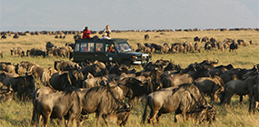 Rekero - Robert Mark Safaris - Luxury African Safaris