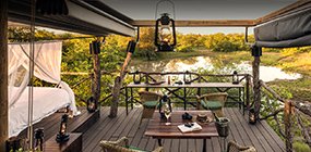 Motswari  - Robert Mark Safaris - Luxury African Safaris