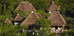Bwindi Lodge - Robert Mark Safaris - Luxury African Safaris