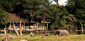 Savute Safari Lodge - Robert Mark Safaris - Luxury African Safaris