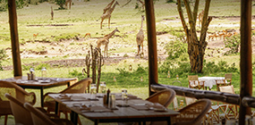 Mara Bushtops - Robert Mark Safaris - Luxury African Safaris