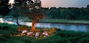 Lion Sands - Robert Mark Safaris - Luxury African Safaris