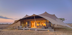 Namiri Plains - Robert Mark Safaris - Luxury African Safaris