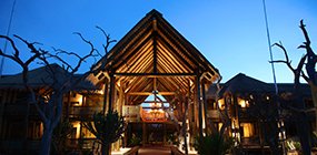 Kapama Game Reserve  - Robert Mark Safaris - Luxury African Safaris