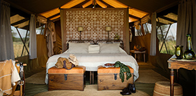 Serengeti Safari Camp - Robert Mark Safaris - Luxury African Safaris