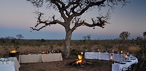 Idube Lodge - Robert Mark Safaris - Luxury African Safaris