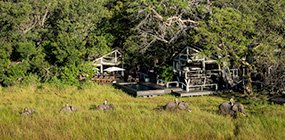 Abu Camp - Robert Mark Safaris - Luxury African Safaris