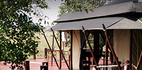 Sand River Masai Mara - Robert Mark Safaris - Luxury African Safaris