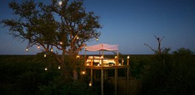 Tanda Tula - Robert Mark Safaris - Luxury African Safaris