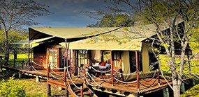 Serengeti Migration Camp - Robert Mark Safaris - Luxury African Safaris