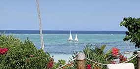 Matemwe Beach House  - Robert Mark Safaris - Luxury African Safaris