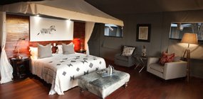 Chitabe Lediba - Robert Mark Safaris - Luxury African Safaris