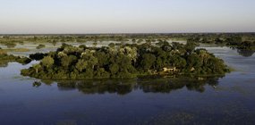 Jacana - Robert Mark Safaris - Luxury African Safaris