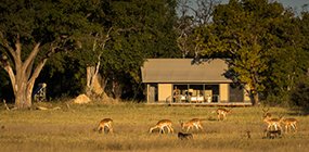 Linkwasha Camp - Robert Mark Safaris - Luxury African Safaris