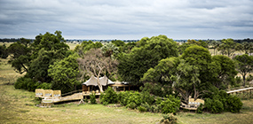 Little Mombo Camp - Robert Mark Safaris - Luxury African Safaris