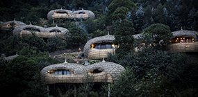 Bisate - Robert Mark Safaris - Luxury African Safaris