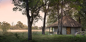 Khwai Bush Camp - Robert Mark Safaris - Luxury African Safaris