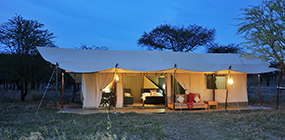 Lemala Ewanjan - Robert Mark Safaris - Luxury African Safaris