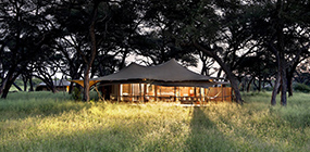 Somalisa Acacia - Robert Mark Safaris - Luxury African Safaris