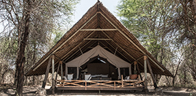 Jongomero - Robert Mark Safaris - Luxury African Safaris