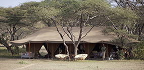 Serian's Serengeti South - Robert Mark Safaris - Luxury African Safaris