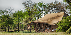 Serian's Serengeti North  - Robert Mark Safaris - Luxury African Safaris
