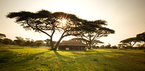 Serian's Serengeti Mobile Camp Kusini - Robert Mark Safaris - Luxury African Safaris