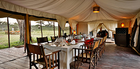 Lemala Ndutu Tented Camp - Robert Mark Safaris - Luxury African Safaris