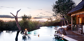 Molori Safari Lodge - Robert Mark Safaris - Luxury African Safaris