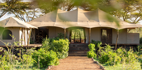 Mara Nyika  - Robert Mark Safaris - Luxury African Safaris