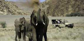 Doro Nawas Camp - Robert Mark Safaris - Luxury African Safaris