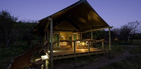 Ongava Tented Camp - Robert Mark Safaris - Luxury African Safaris